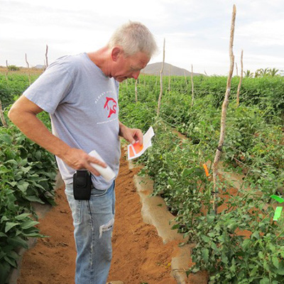The man behind the tomatoes: Fred Hempel of Artisan Seeds